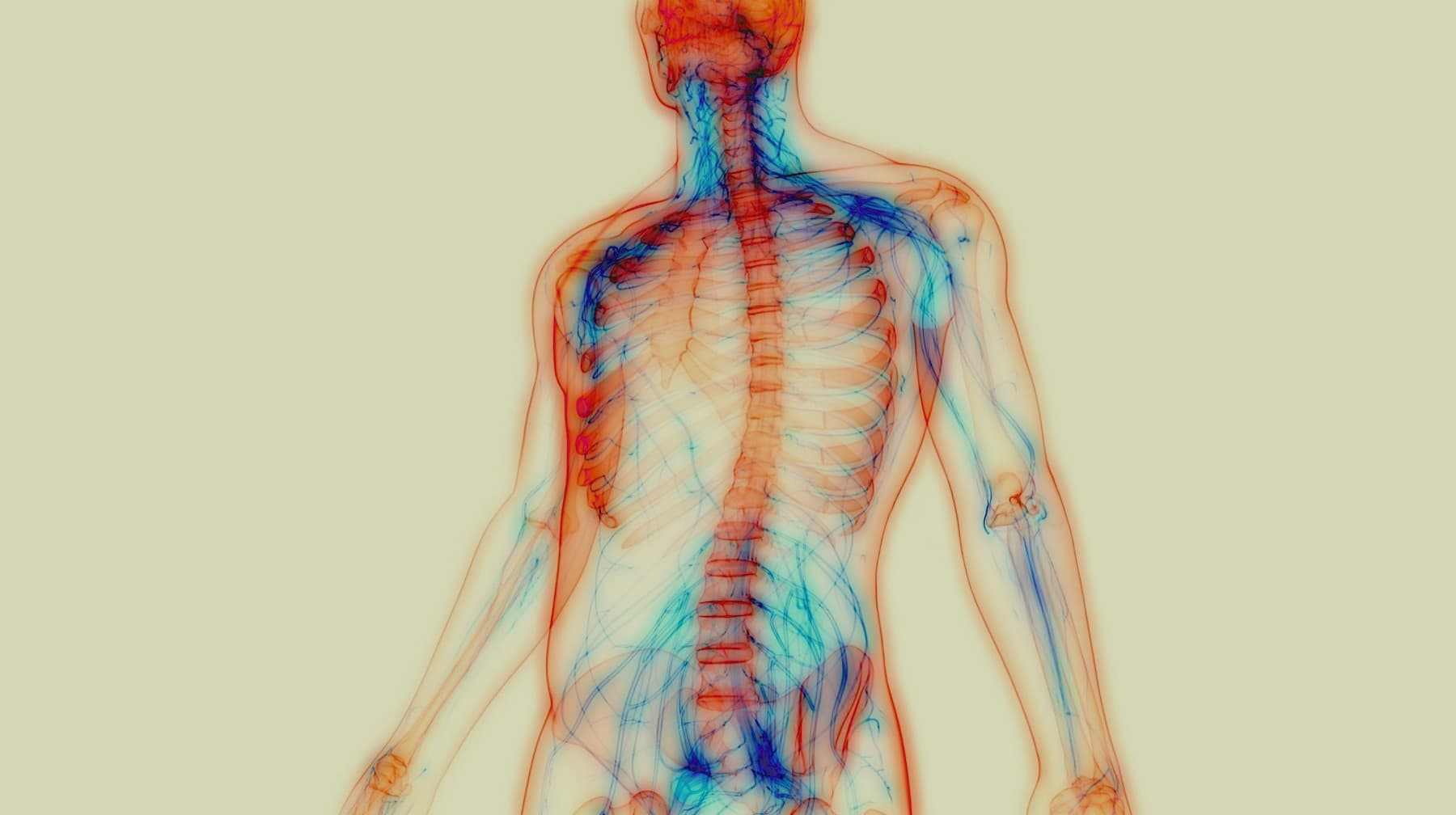 A DEXA full-body composition scan